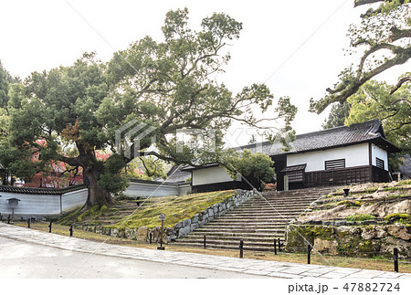 京都青蓮院門跡　京都観光スポット　人気スポット 47882724