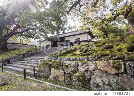 京都青蓮院門跡 京都観光スポット 人気スポット 京都青蓮院門跡 京都観光スポット 人気スポット 47882725