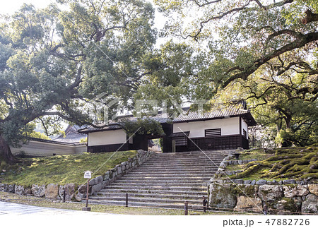 京都青蓮院門跡　京都観光スポット　人気スポット 47882726