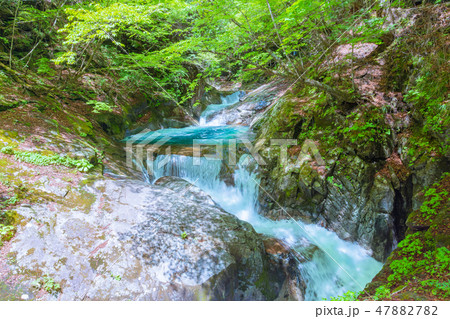 新緑の西沢渓谷・三重の滝【山梨県】 新緑の西沢渓谷・三重の滝【山梨県】 47882782