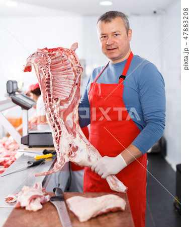 Adult man splitting and showing of pig carcass Adult man splitting and showing of pig carcass 47883208