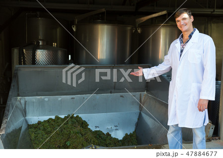 Male winemaker near grapes destemmer in winery Male winemaker near grapes destemmer in winery 47884677