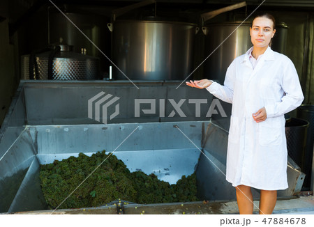 Female near grapes crusher machine in winery 47884678