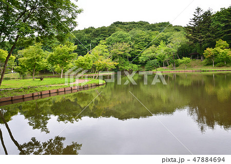 北山公園へ行きました #10 北山公園へ行きました #10 47884694
