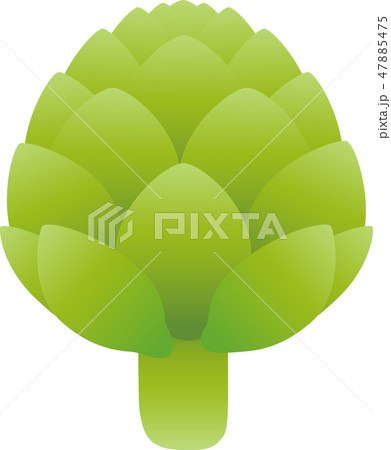 アーティチョーク 47885475