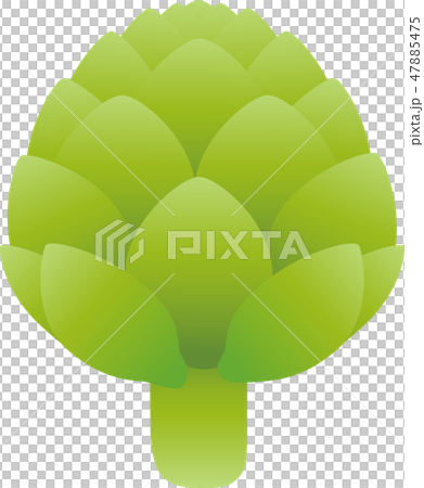 アーティチョーク 47885475