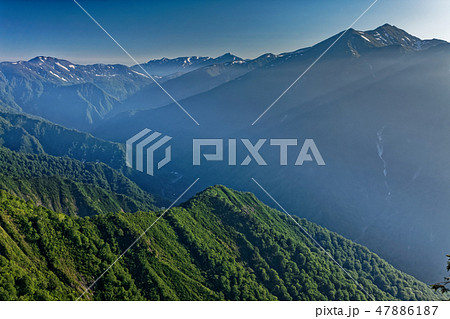 谷川岳・西黒尾根の登りから見る朝もやに浮かぶ朝日岳・巻機山 47886187