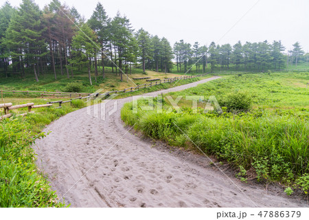 【長野県】夏の高ボッチ高原、草競馬、コース 47886379