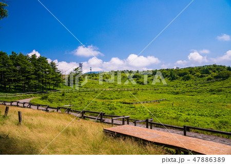 【長野県】夏の高ボッチ高原、草競馬、コース 47886389