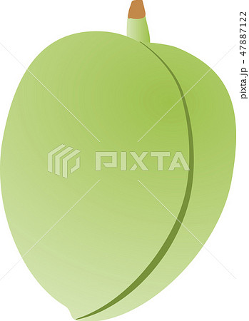 アーモンド 47887122