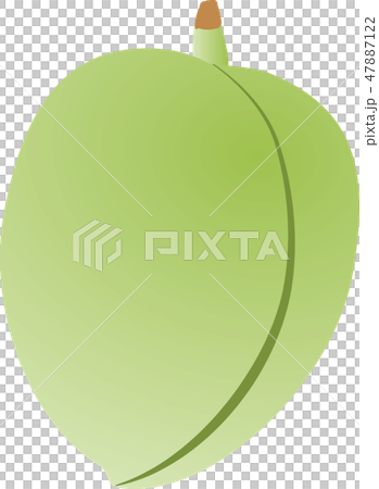 アーモンド 47887122