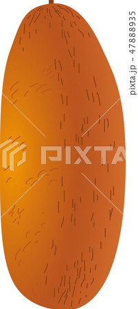 アカウリ 47888935