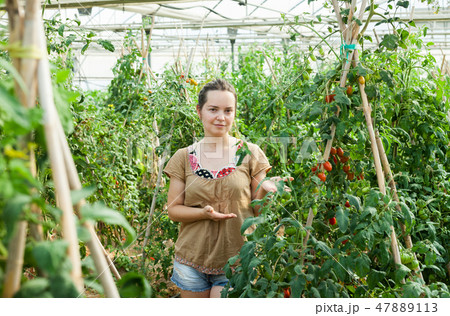 Woman working in glasshousw Woman working in glasshousw 47889113