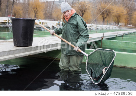 Woman standing in fish tank catching fish on farm Woman standing in fish tank catching fish on farm 47889356