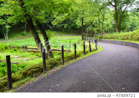 北山公園へ行きました　　　＃21 47889721