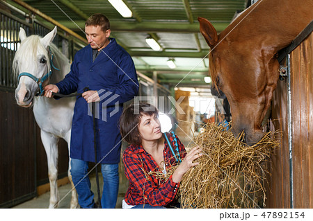 Positive female worker feeding horses 47892154