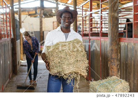 Couple of farmers working at stable Couple of farmers working at stable 47892243