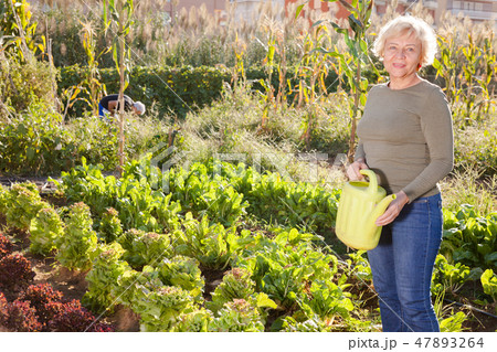 Woman posing with watering can in garden 47893264