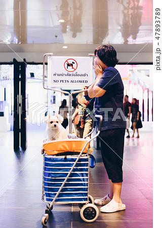 Asian woman and the dog with sign No Pets Allowed Asian woman and the dog with sign No Pets Allowed 47893789