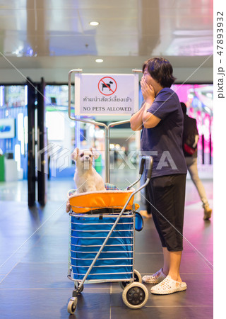 Asian woman and the dog with sign No Pets Allowed Asian woman and the dog with sign No Pets Allowed 47893932
