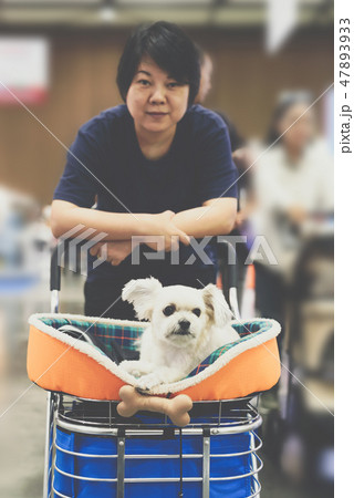 Asian woman and the dog in exhibit hall or expo Asian woman and the dog in exhibit hall or expo 47893933