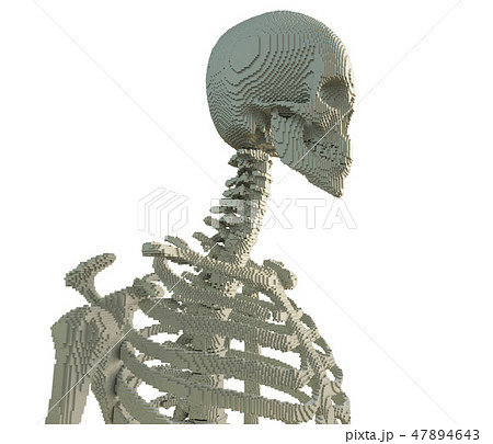 3d printed skeleton isolated 3d printed skeleton isolated 47894643
