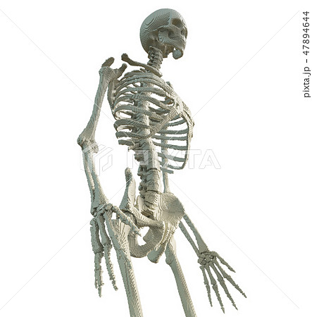 3d printed skeleton isolated 3d printed skeleton isolated 47894644