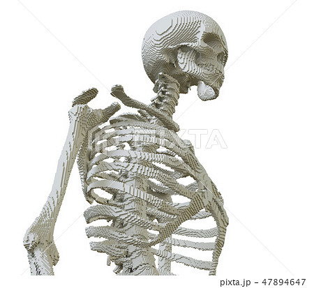 3d printed skeleton isolated 3d printed skeleton isolated 47894647