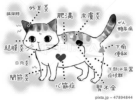 猫がかかりやすい病気のイラスト素材