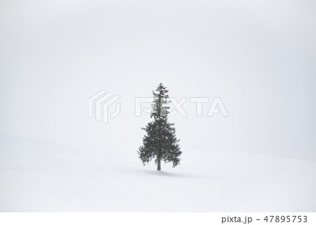 クリスマスツリー 47895753