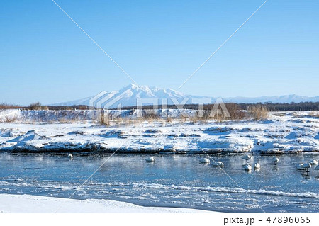 冬の止別川と斜里岳 冬の止別川と斜里岳 47896065
