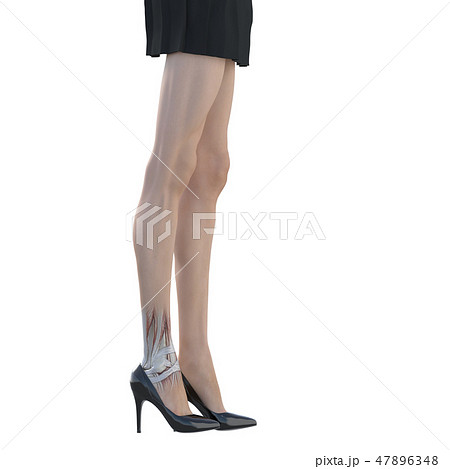 女性　解剖　筋肉　３DCG　イラスト素材 47896348