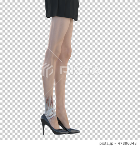 女性　解剖　筋肉　３DCG　イラスト素材 47896348