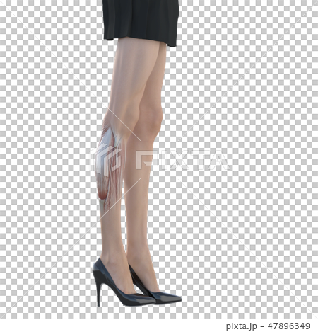 女性　解剖　筋肉　３DCG　イラスト素材 47896349