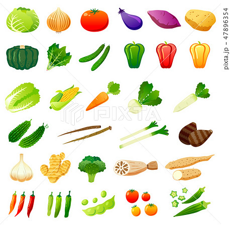 野菜セット 47896354
