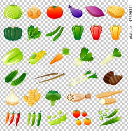 野菜セット 47896354