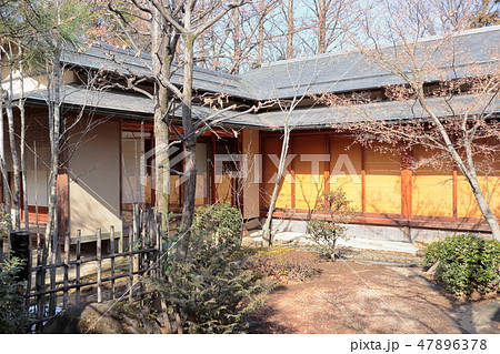 冬の日本庭園 47896378