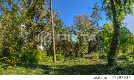 Old Botanical Garden in Odessa, Ukraine 47897934