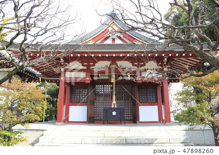 春の亀戸天神 御嶽神社(みたけじんじゃ) 東京都江東区 春の亀戸天神 御嶽神社(みたけじんじゃ) 東京都江東区 47898260