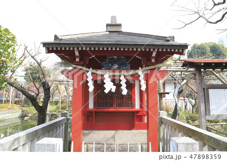 春の亀戸天神 弁天社(べんてんしゃ) 東京都江東区 春の亀戸天神 弁天社(べんてんしゃ) 東京都江東区 47898359