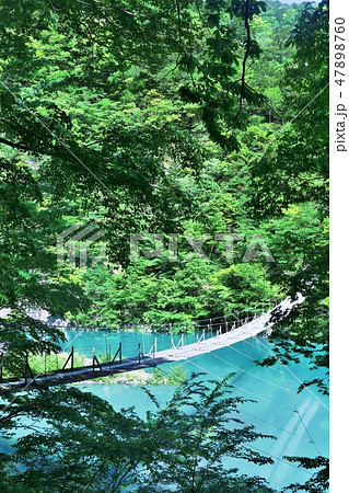 静岡県 夢の吊り橋 静岡県 夢の吊り橋 47898760