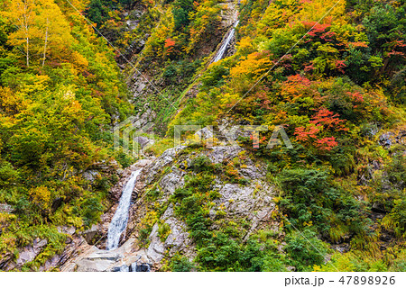 下ノ廊下 紅葉 下ノ廊下 紅葉 47898926
