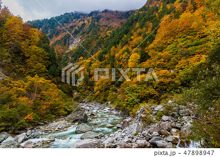 下ノ廊下 紅葉 下ノ廊下 紅葉 47898947