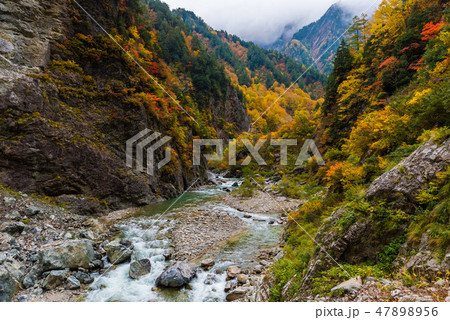 下ノ廊下 紅葉 下ノ廊下 紅葉 47898956