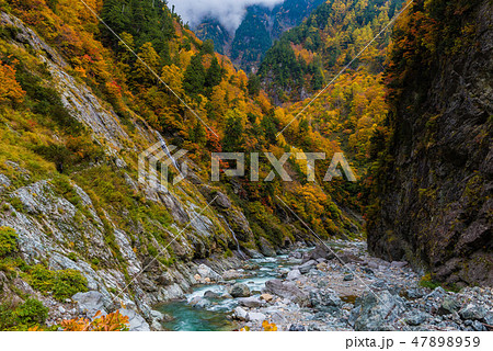 下ノ廊下 紅葉 下ノ廊下 紅葉 47898959