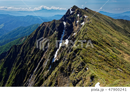 一ノ倉岳の登りから見る谷川岳山頂 一ノ倉岳の登りから見る谷川岳山頂 47900241