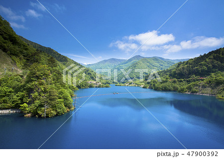 新緑の奥四万湖 47900392