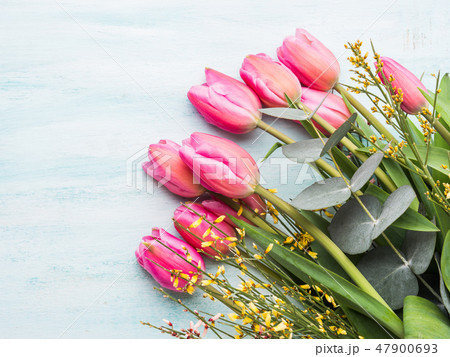 Beautiful tulips on pastel green background 47900693