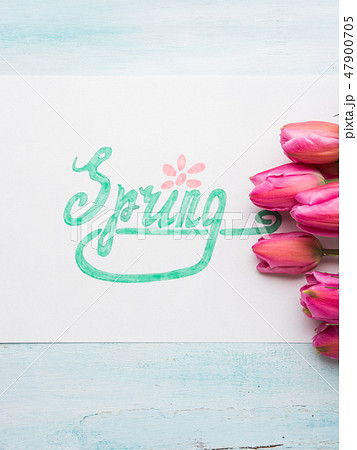 Beautiful tulips and word Spring in green letters Beautiful tulips and word Spring in green letters 47900705