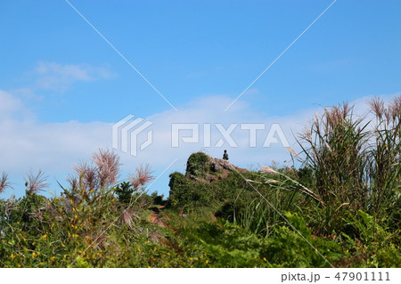 風景 観光 風 47901111